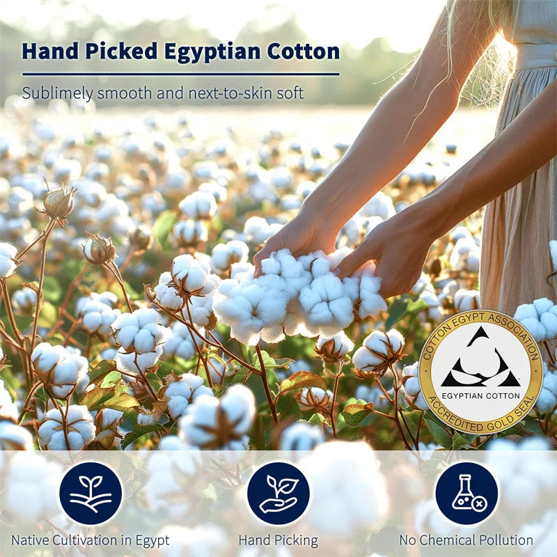 High-End Organic 100% Egyptian Cotton Duvet Cover Set – 800 Thread Count Luxury Bedding